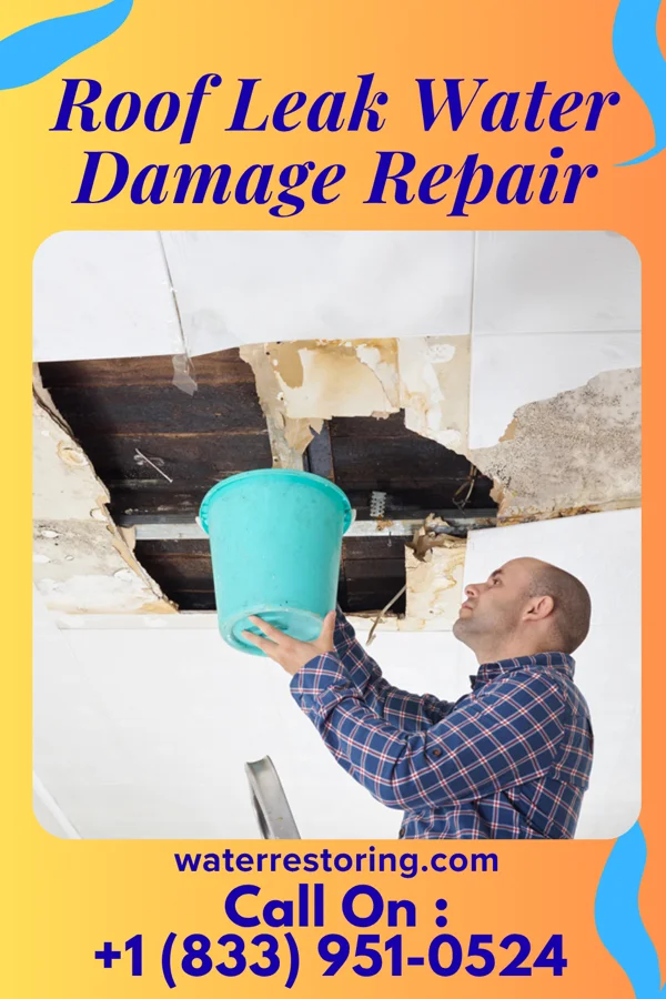 Roof Leak Water Damage Repair in New Brighton, PA