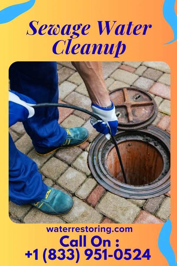 Sewage Water Cleanup in New Brighton, PA