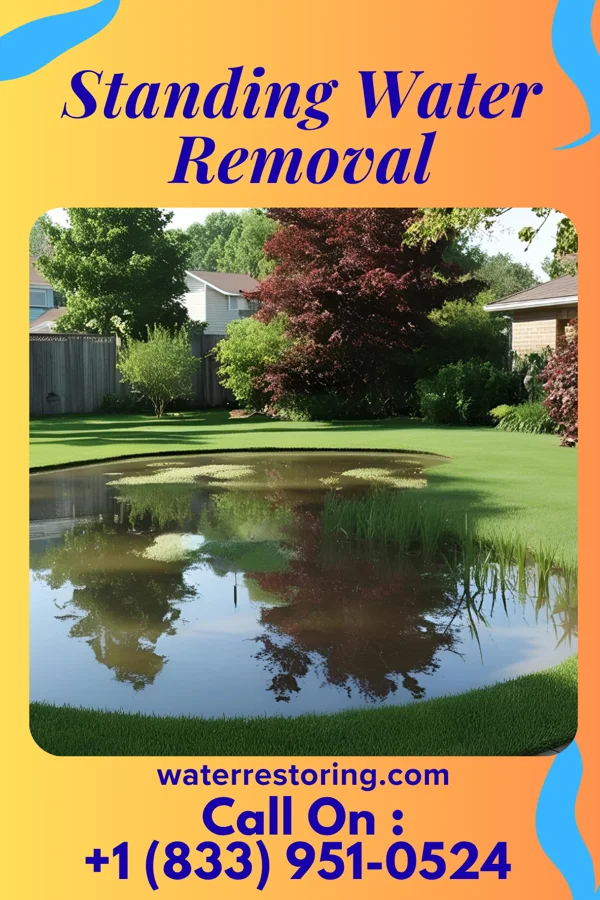 Standing Water Removal in New Brighton, PA